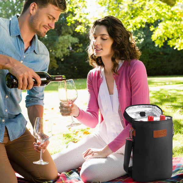 Black 2 Bottle Wine Carrier