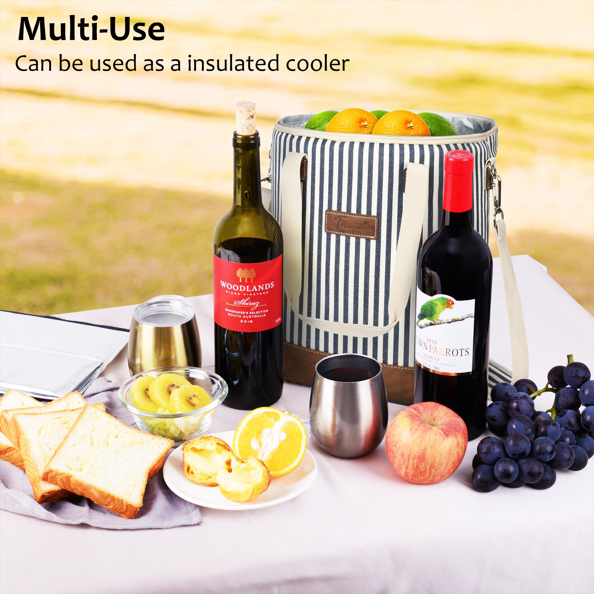 Blue Stripe 6 Bottle Wine Cooler Carrier