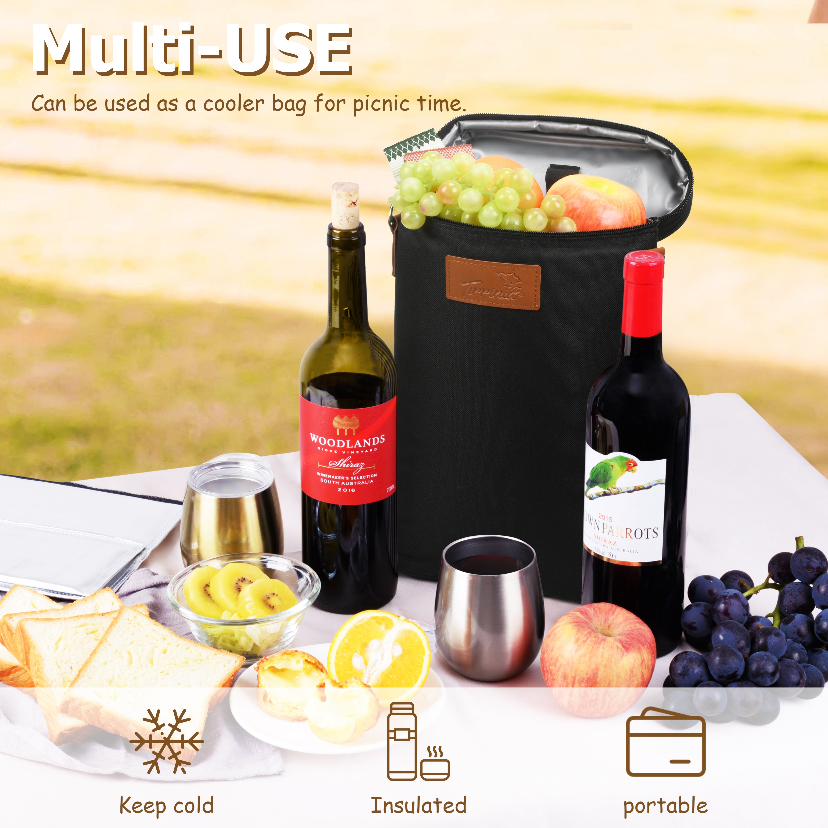 Black 2 Bottle Wine Carrier